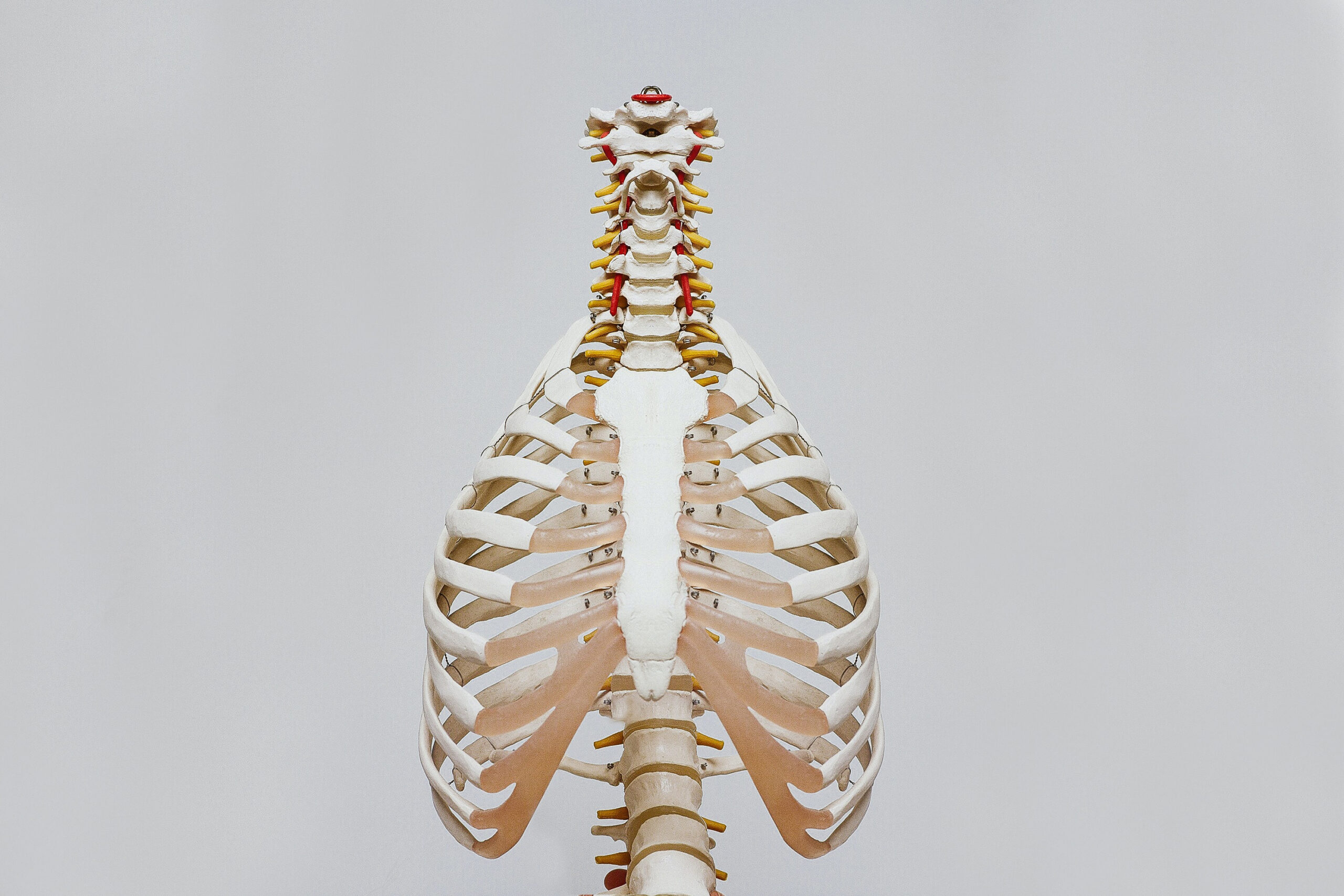 Maintaining normal bones during and after the menopause